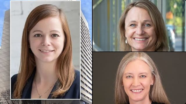 Meet the Minnesota judges who dismissed and overturned Somali fraud cases