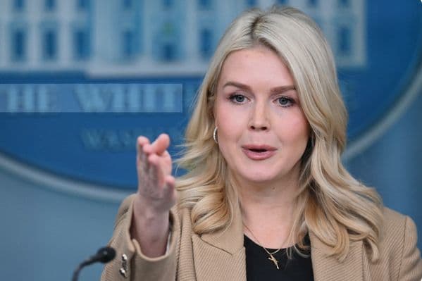 Karoline Leavitt mops the floor with leftist posing as a journlaist